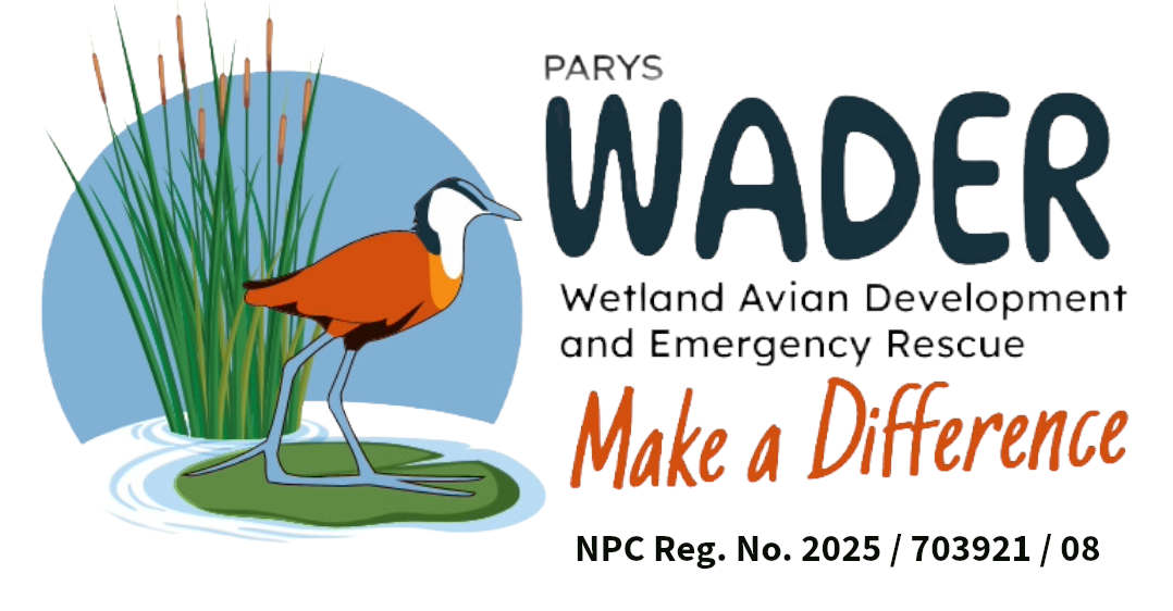 wader parys